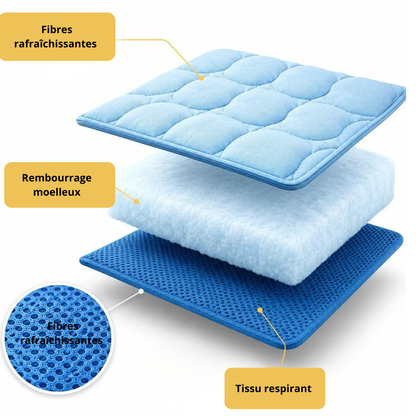 Tapis Rafraîchissant Anti-Canicule – Spécial Chat & Chien