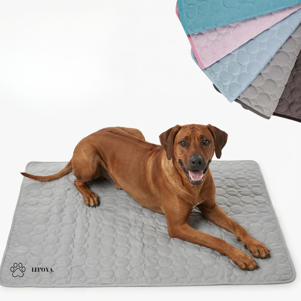 Tapis Rafraîchissant Anti-Canicule – Spécial Chat & Chien