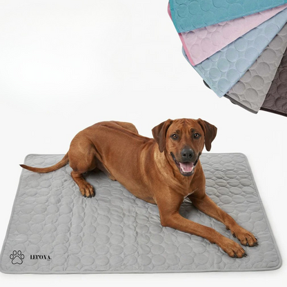 Tapis Rafraîchissant Anti-Canicule – Spécial Chat & Chien